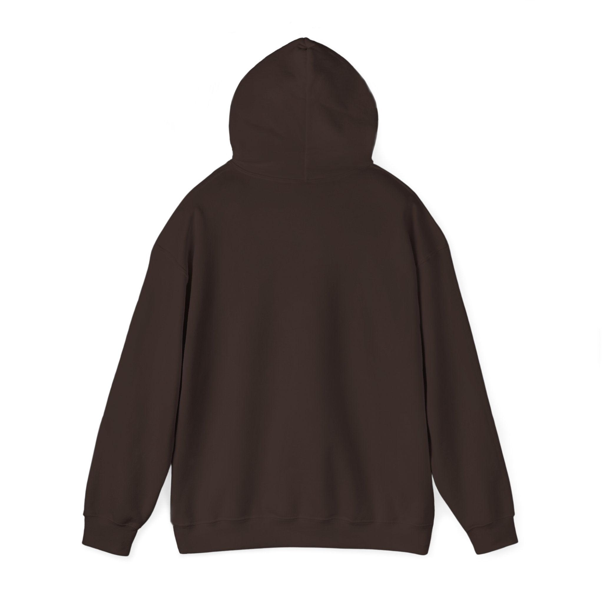 Hoodie — Desert North Supply Logo Pullover