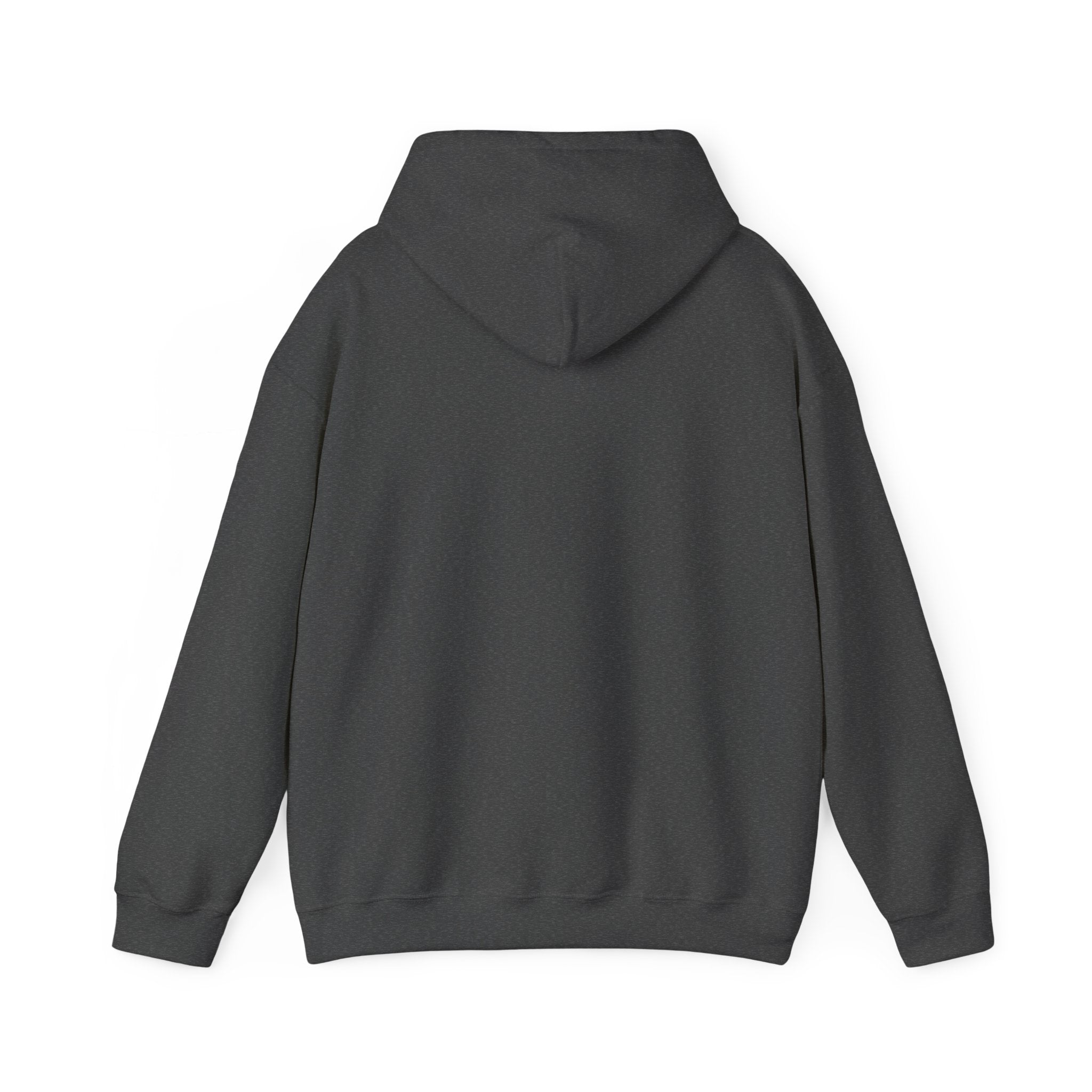 Hoodie — Desert North Supply Logo Pullover