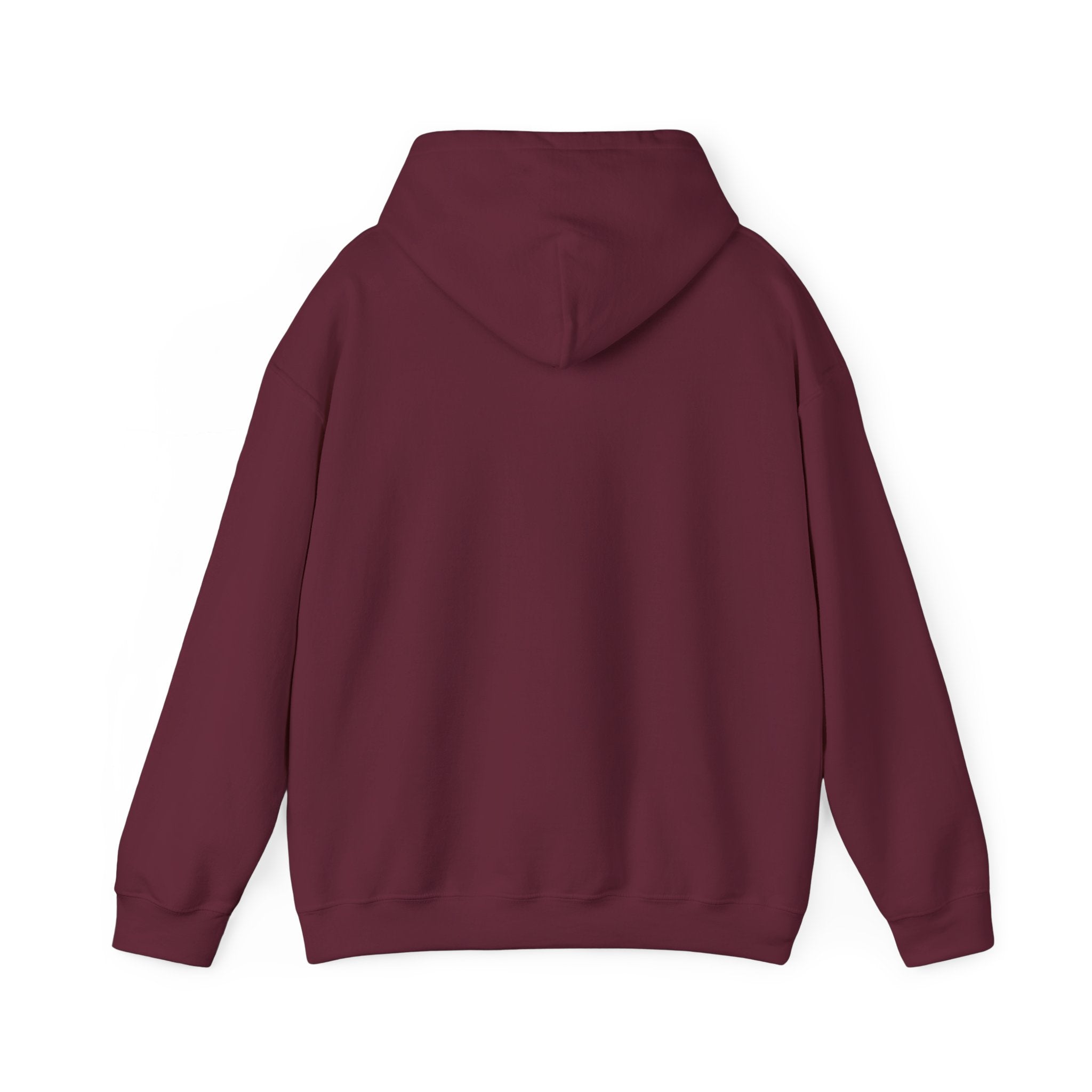 Hoodie — Desert North Supply Logo Pullover