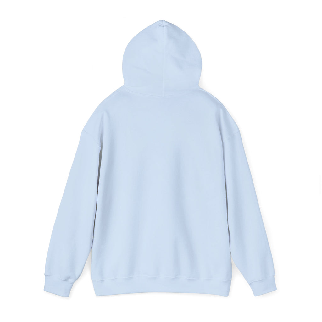 Hoodie — Desert North Supply Logo Pullover