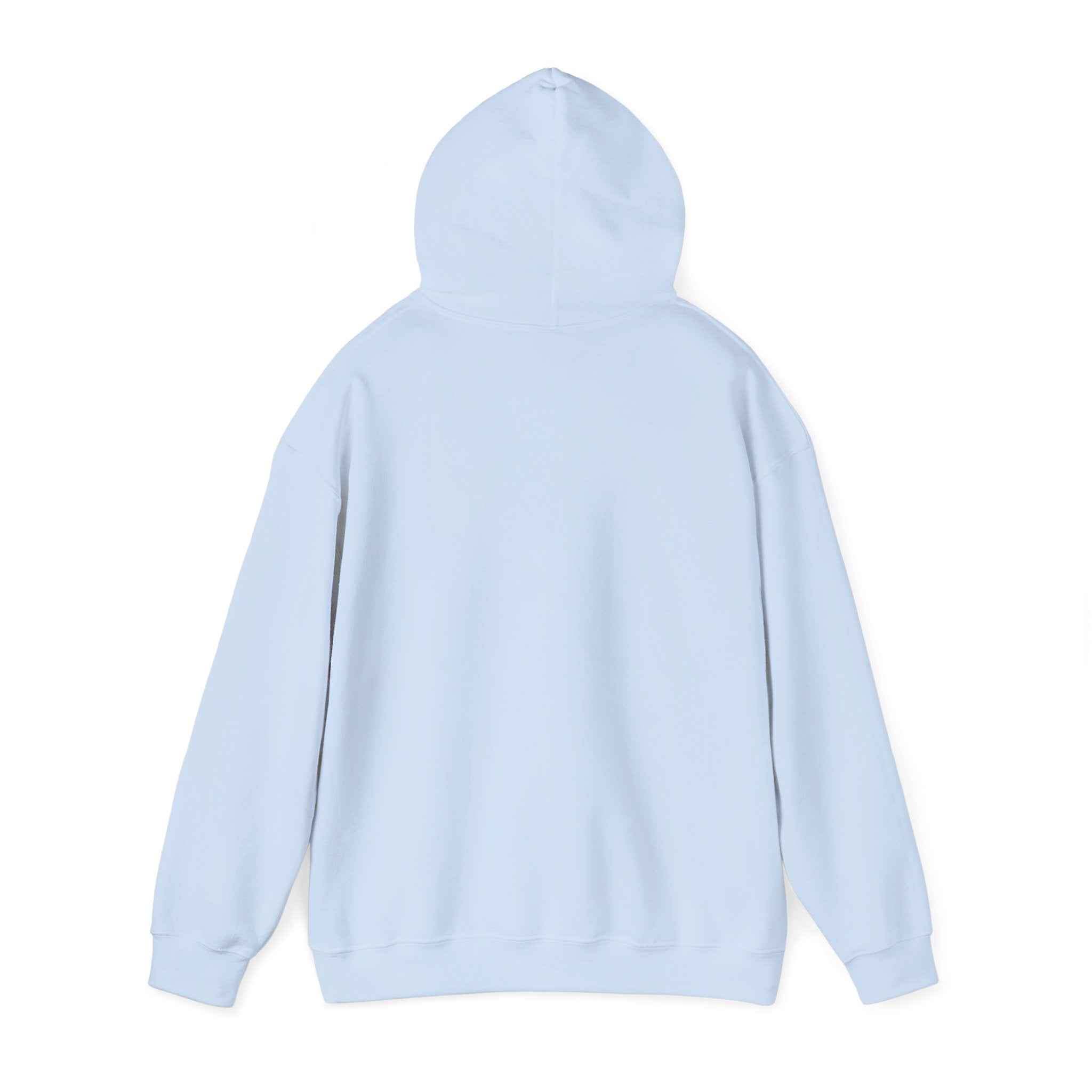 Hoodie — Desert North Supply Logo Pullover