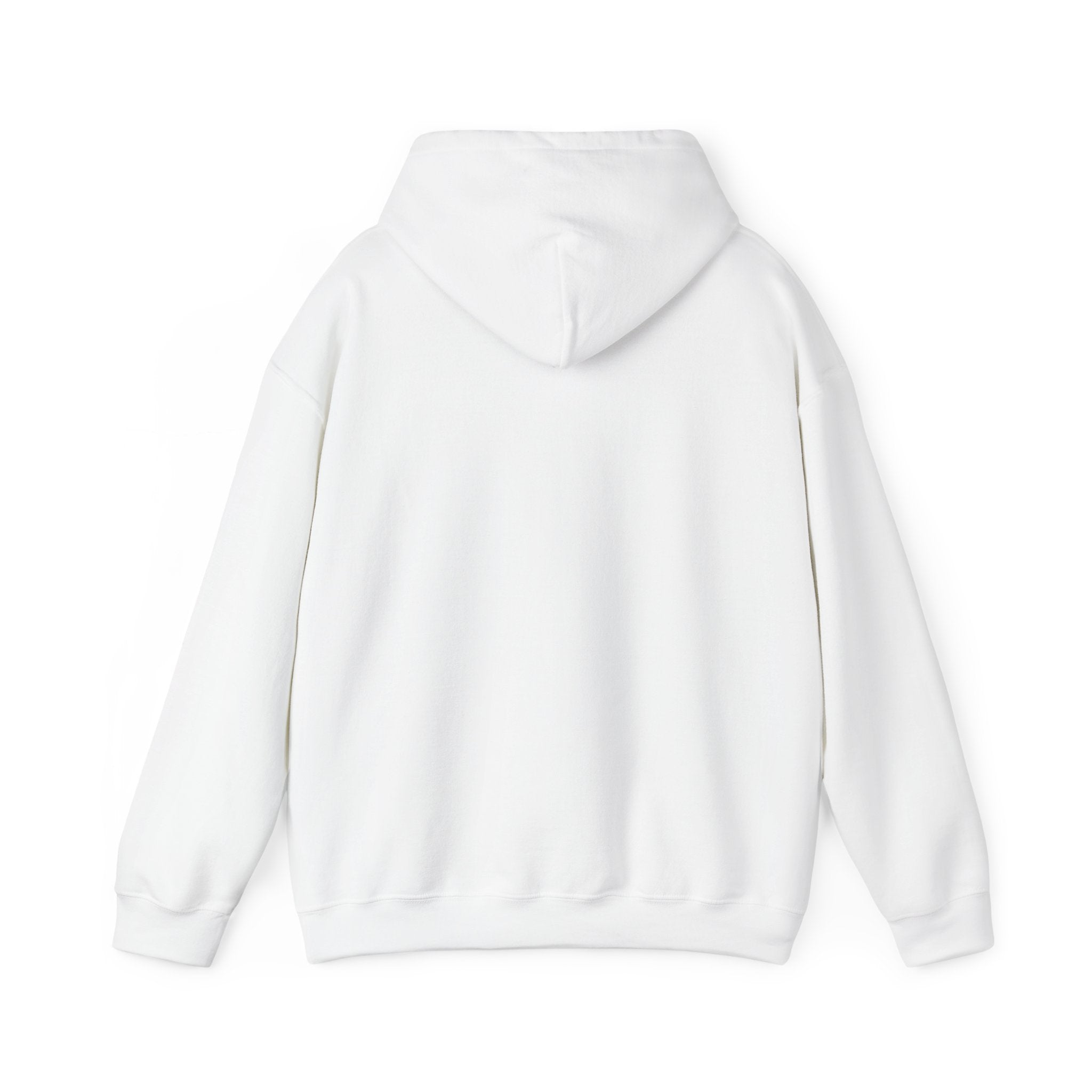 Hoodie — Desert North Supply Logo Pullover