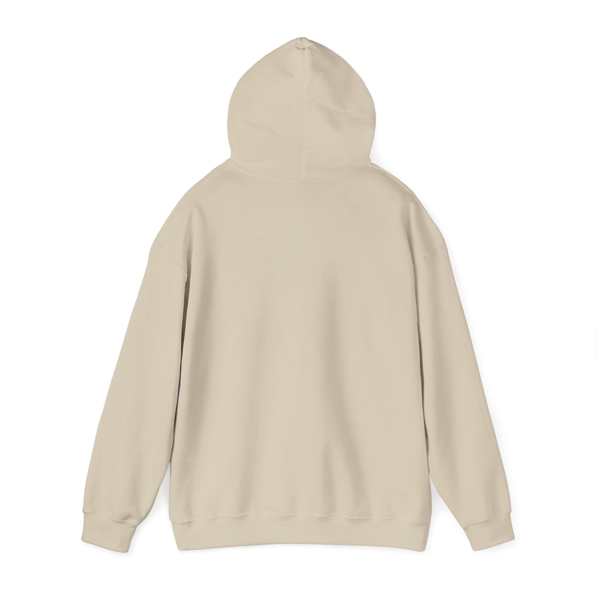 Hoodie — Desert North Supply Logo Pullover