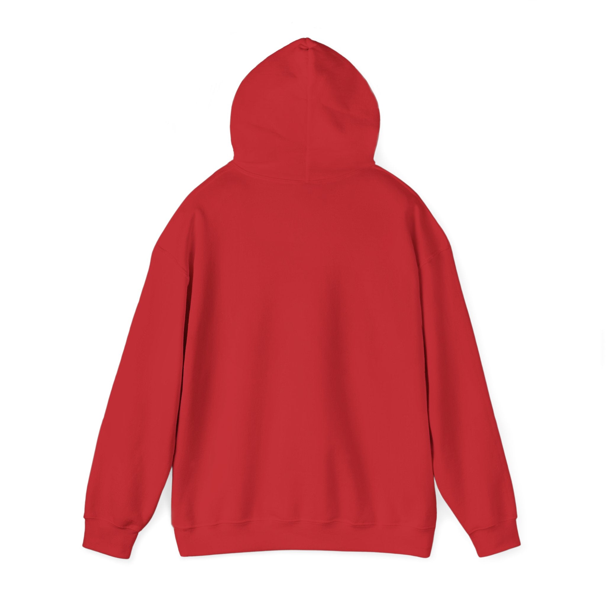 Hoodie — Desert North Supply Logo Pullover