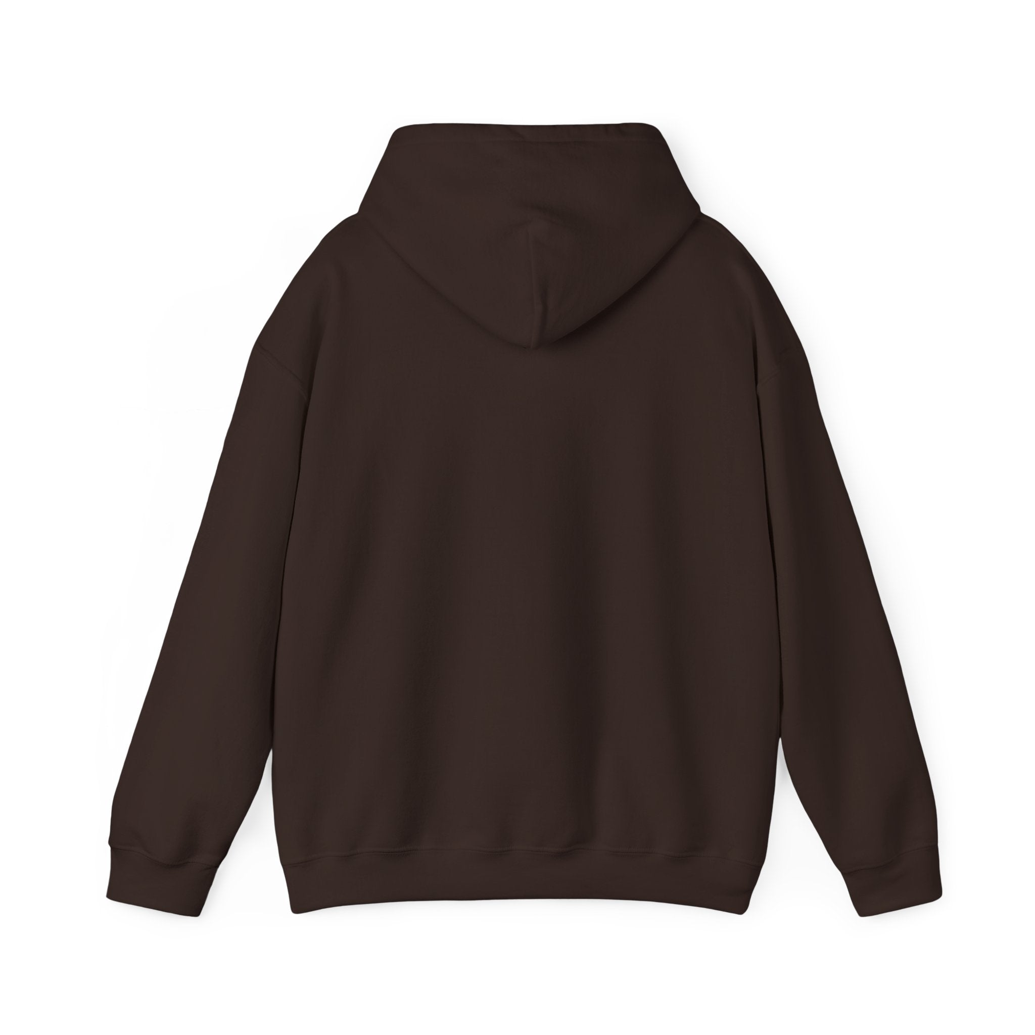 Hoodie — Desert North Supply Logo Pullover
