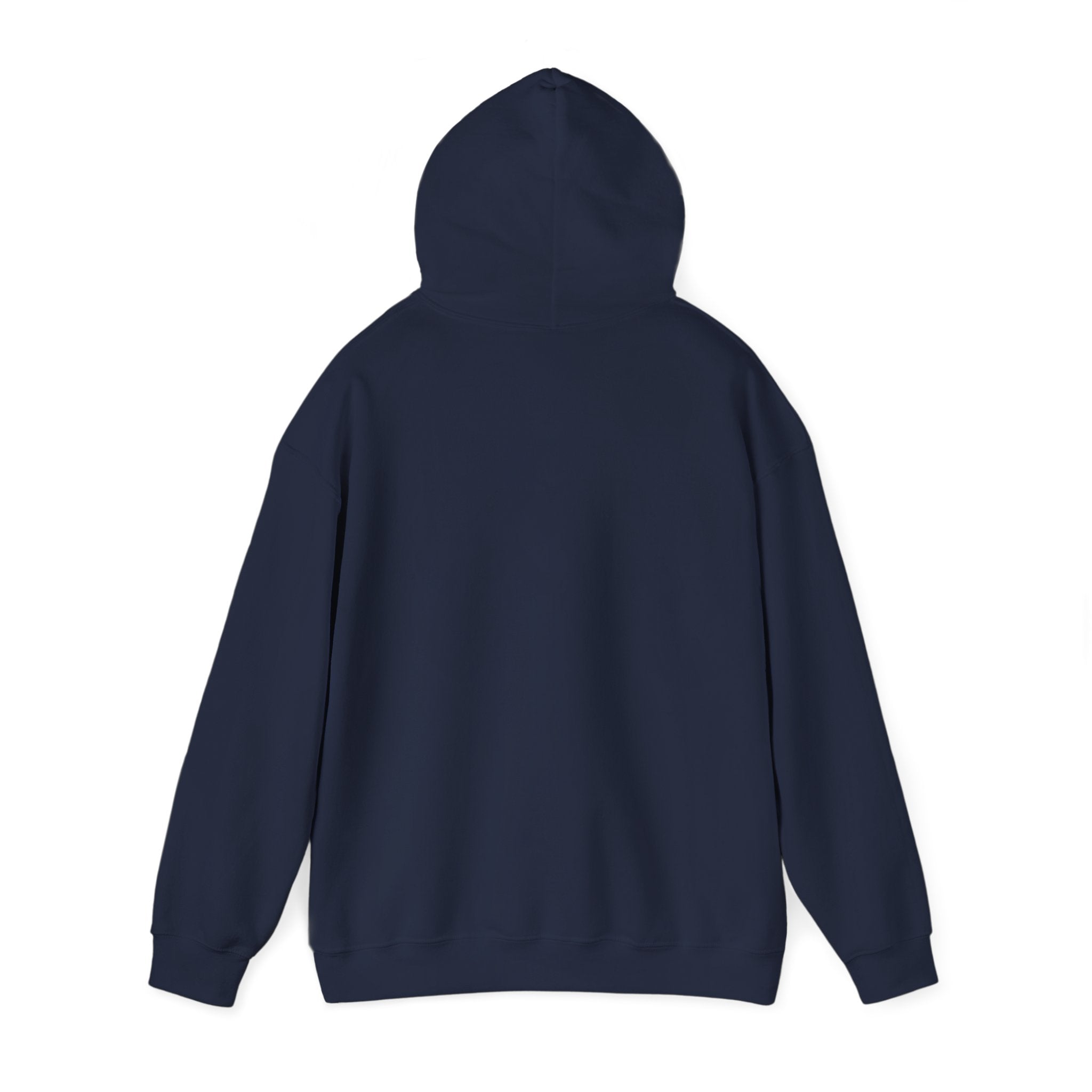 Hoodie — Desert North Supply Logo Pullover