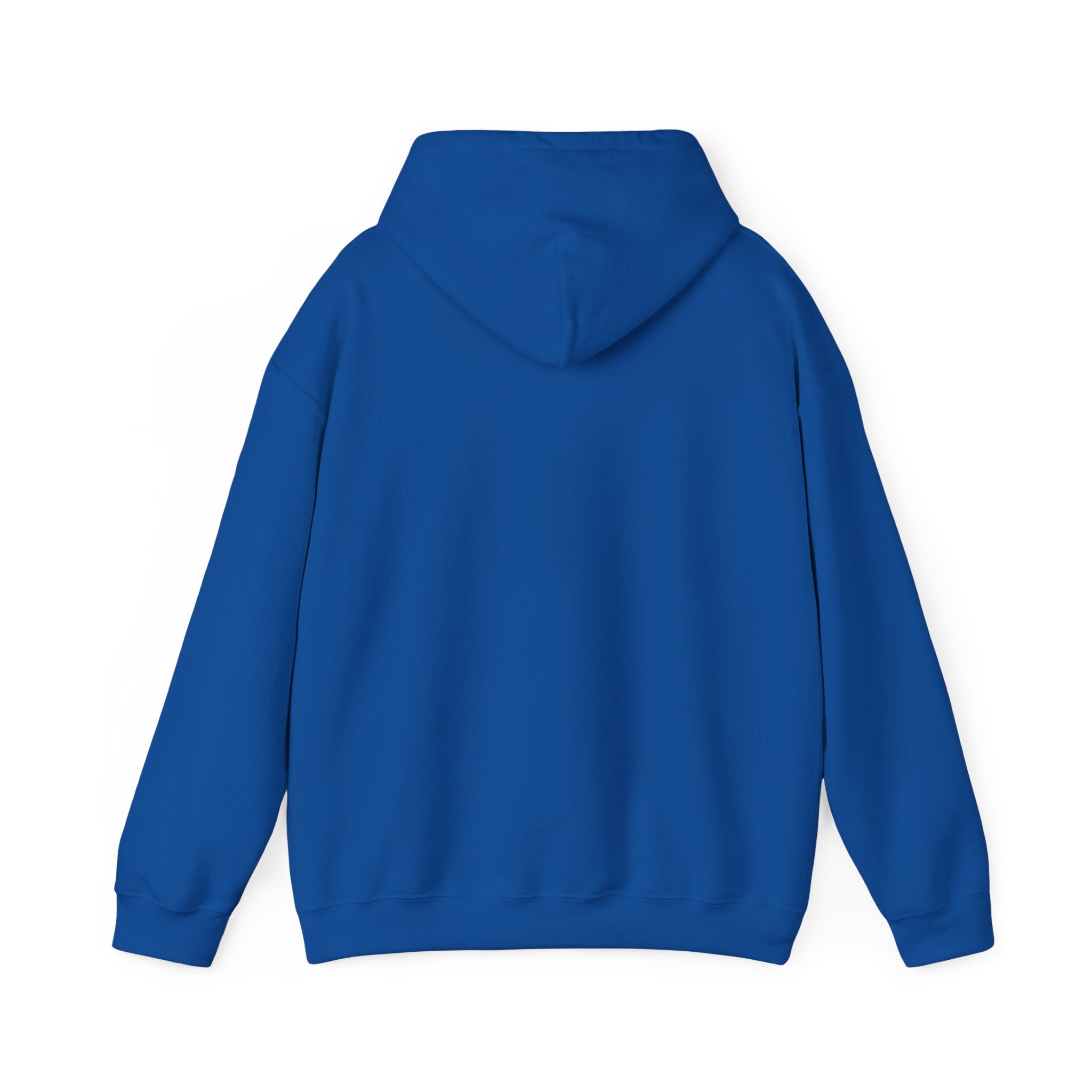 Hoodie — Desert North Supply Logo Pullover