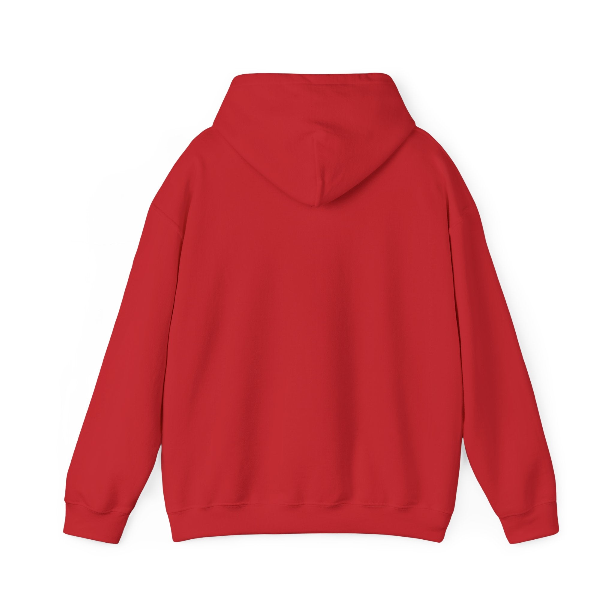 Hoodie — Desert North Supply Logo Pullover