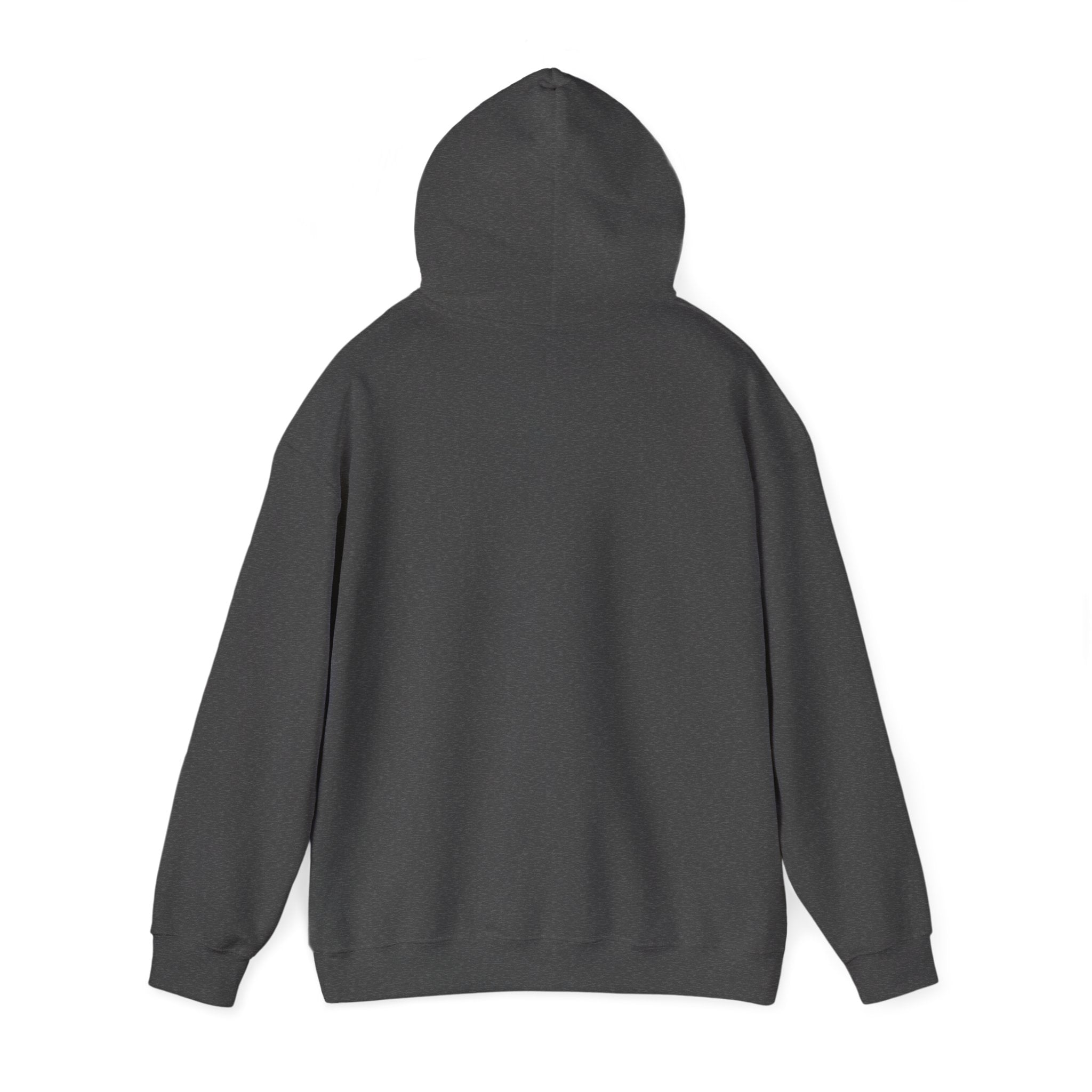 Hoodie — Desert North Supply Logo Pullover
