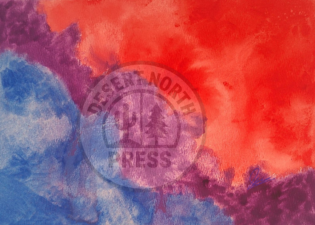 Colorful abstract design with 'Desert North Press' logo in the center.